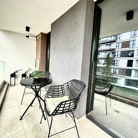 Maieru Q * تيميشورا