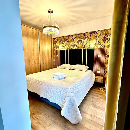 Maieru Q Timisoara